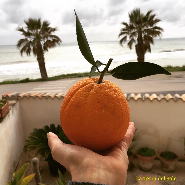 Terra Del Sole Ribera Leilighet Eksteriør bilde